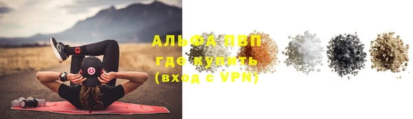 тгк Долгопрудный
