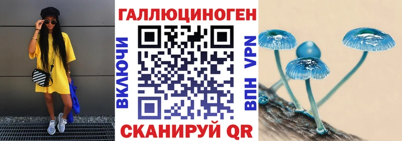 Псилоцибиновые грибы Psilocybine cubensis  Домодедово 